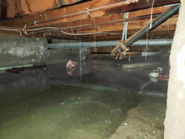 Best Water damage restoration near me  in Elizabethton, TN