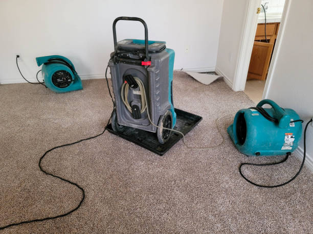 Best Local water damage restoration  in Elizabethton, TN