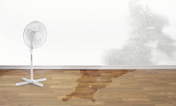 Best Water damage restoration process  in Elizabethton, TN