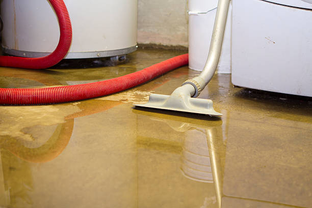  Elizabethton, TN Water damage restoration Pros