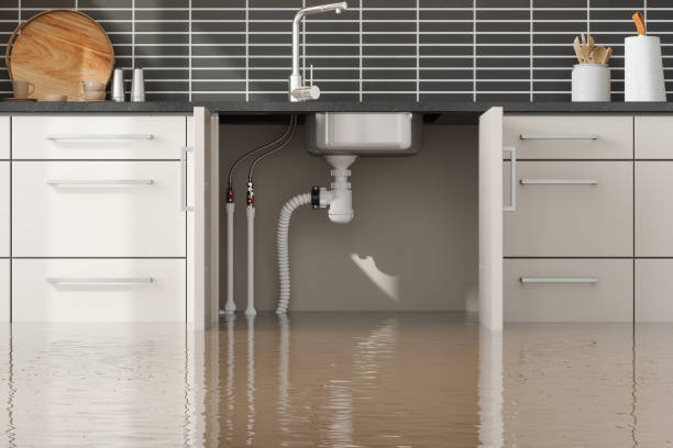 Best Water damage contractors near me  in Elizabethton, TN