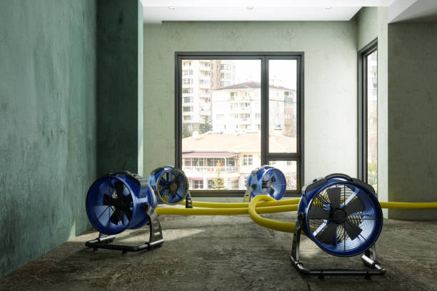 Best Water damage restoration near me  in Elizabethton, TN